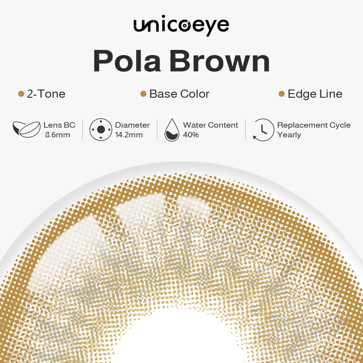 Pola Brown Yearly Contact Lenses