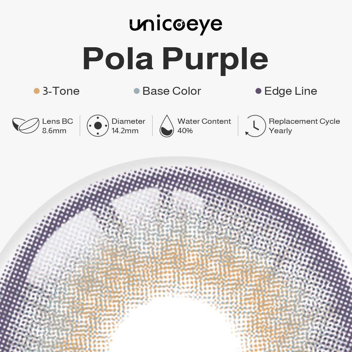 Pola Purple Yearly Contact Lenses