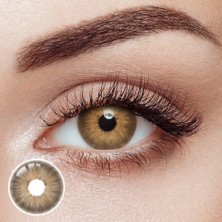 Pattaya Brown Yearly Contact Lenses