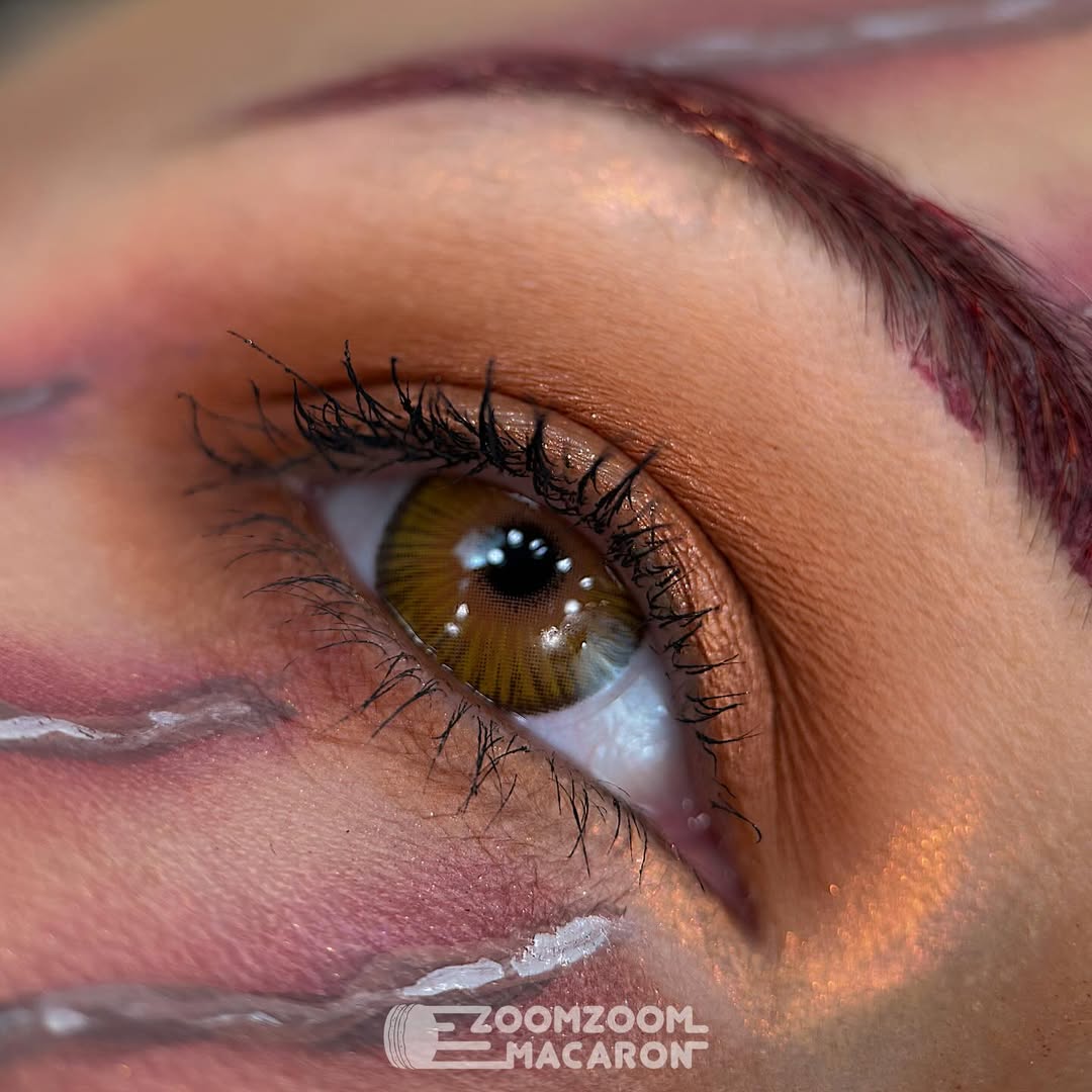 Immersing Brown 6 Months Contact Lenses