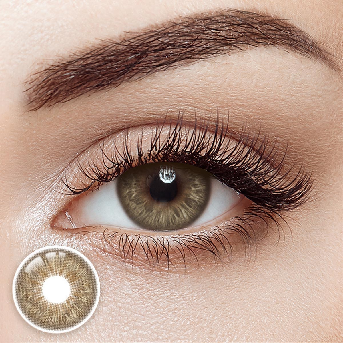 Leopard Brown Yearly Contact Lenses