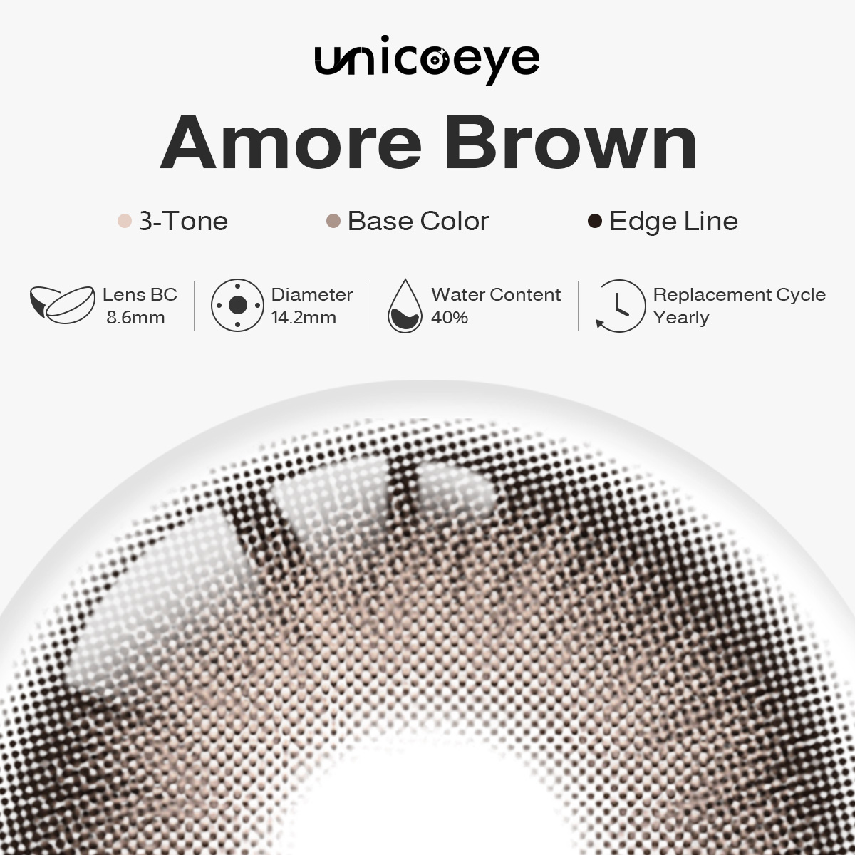 Amore Brown Yearly Contact Lenses