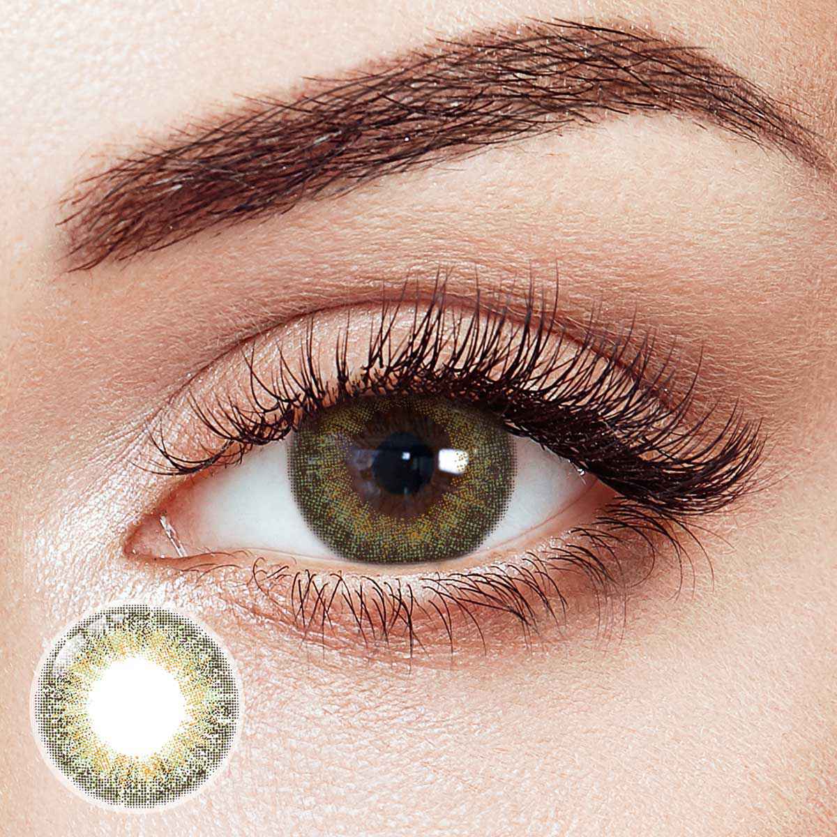 Whirlwind Brown 6 Months Contact Lenses | 2 Pcs