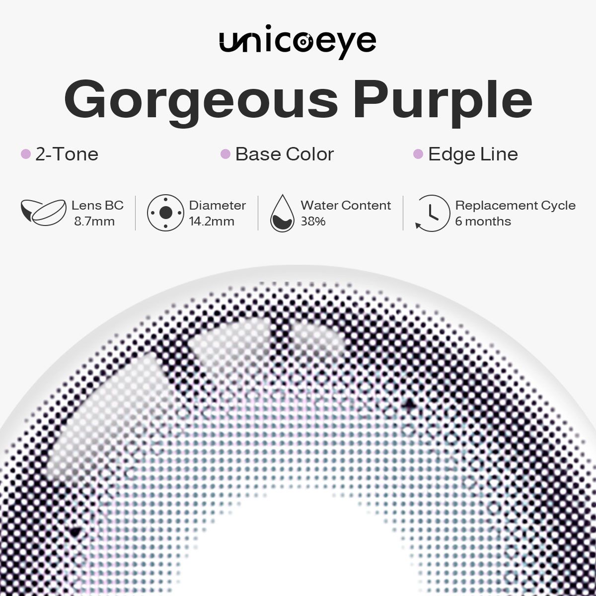 Gorgeous Purple 6 Months Contact Lenses | 2 Pcs