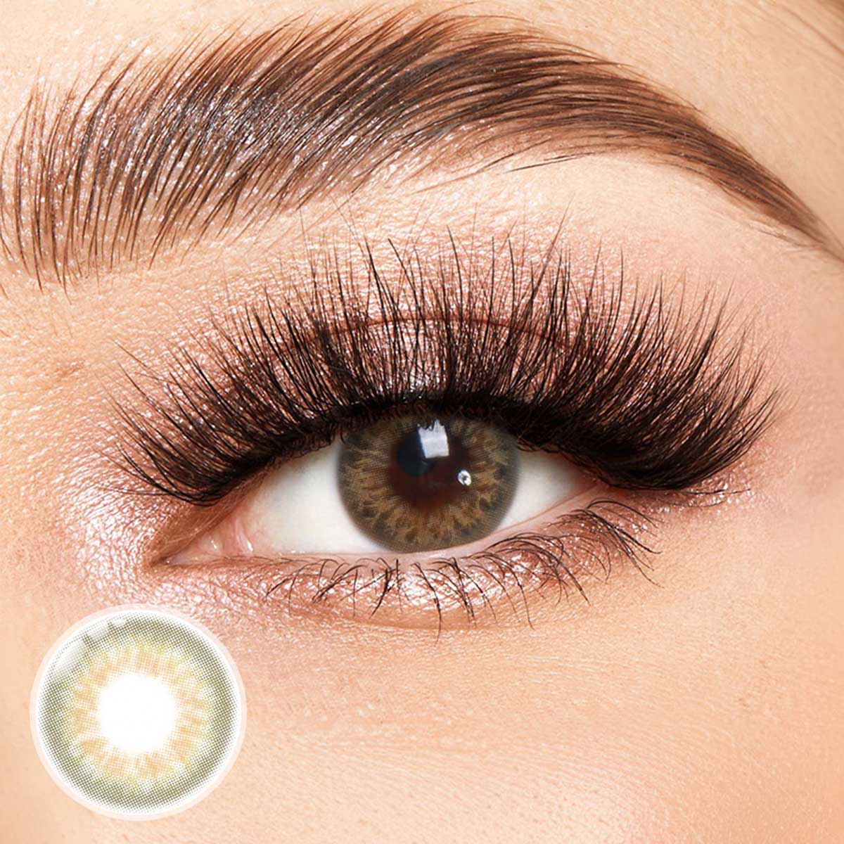 DNA Taylor Brown Yearly Contact Lenses