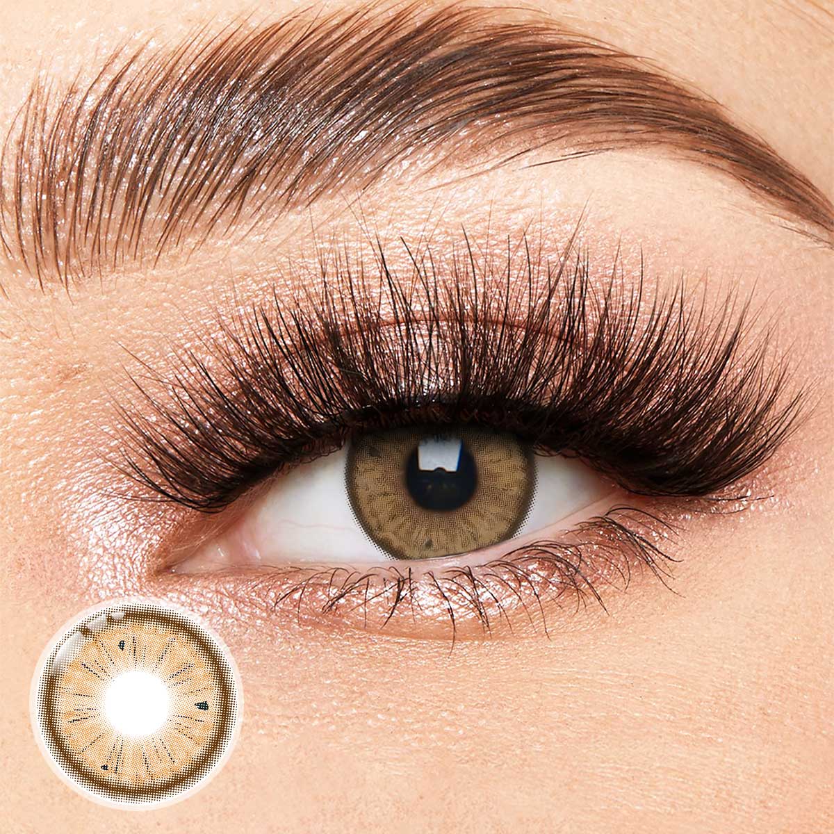 Teardrop Brown Yearly Contact Lenses