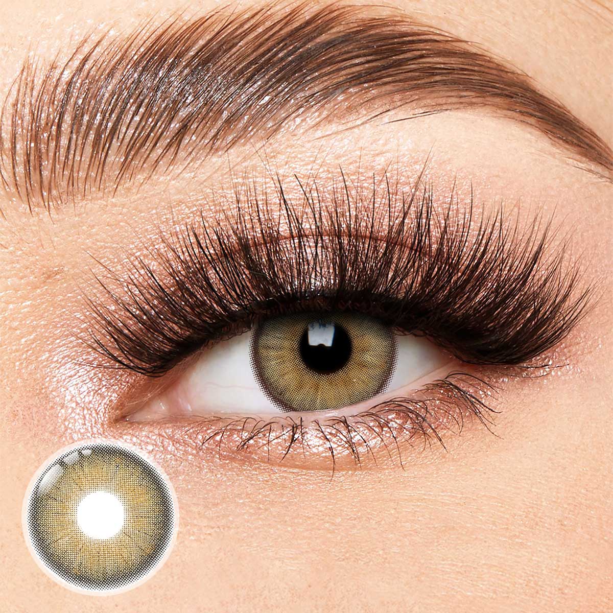 Sandy Twilight Brown Yearly Contact Lenses