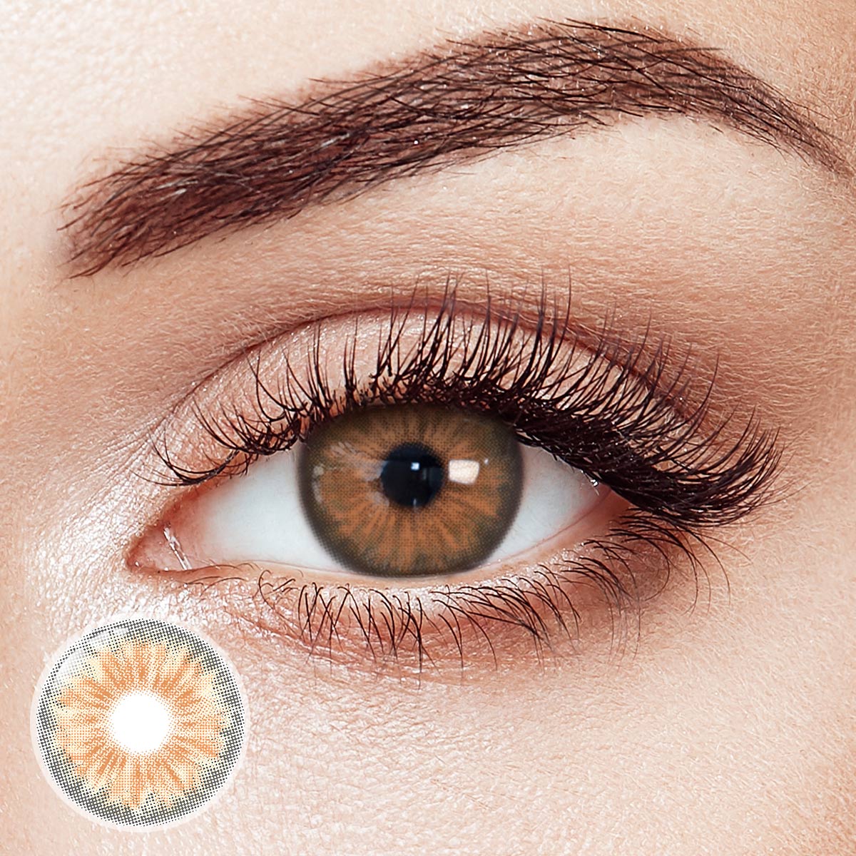 Cleopatra Brown Daily Contact Lenses | 10 Pcs