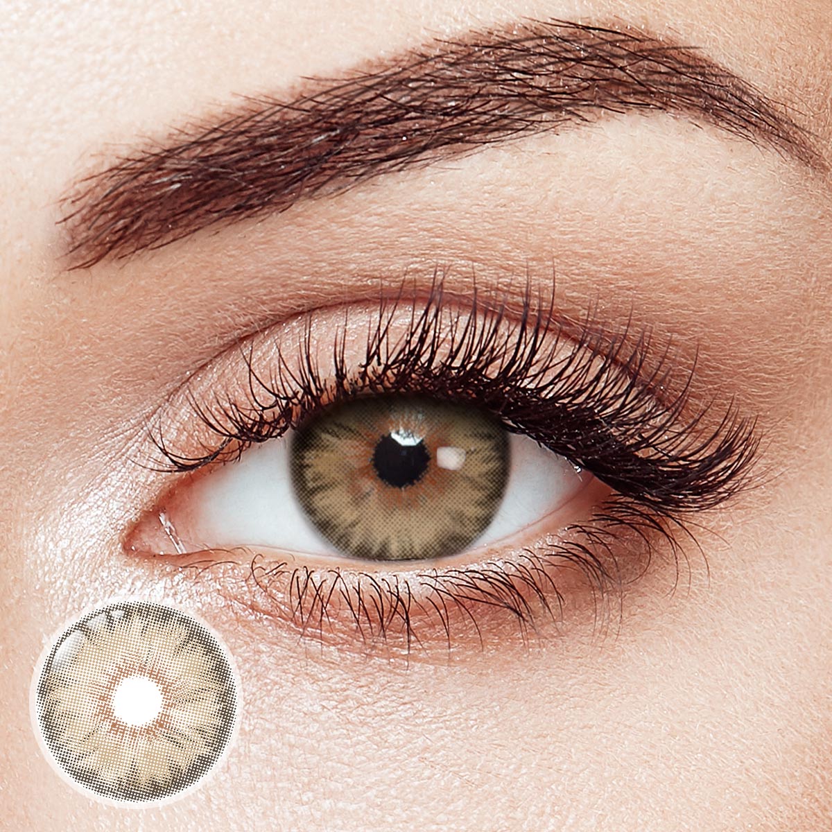 Siri Brown Daily Contact Lenses | 10 Pcs