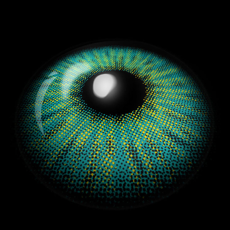 Forest Spark Green 6 Months Contact Lenses