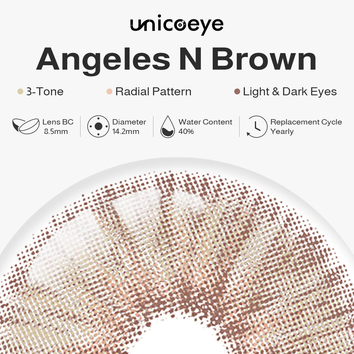 Angeles N Brown Yearly Contact Lenses | 2 Pcs