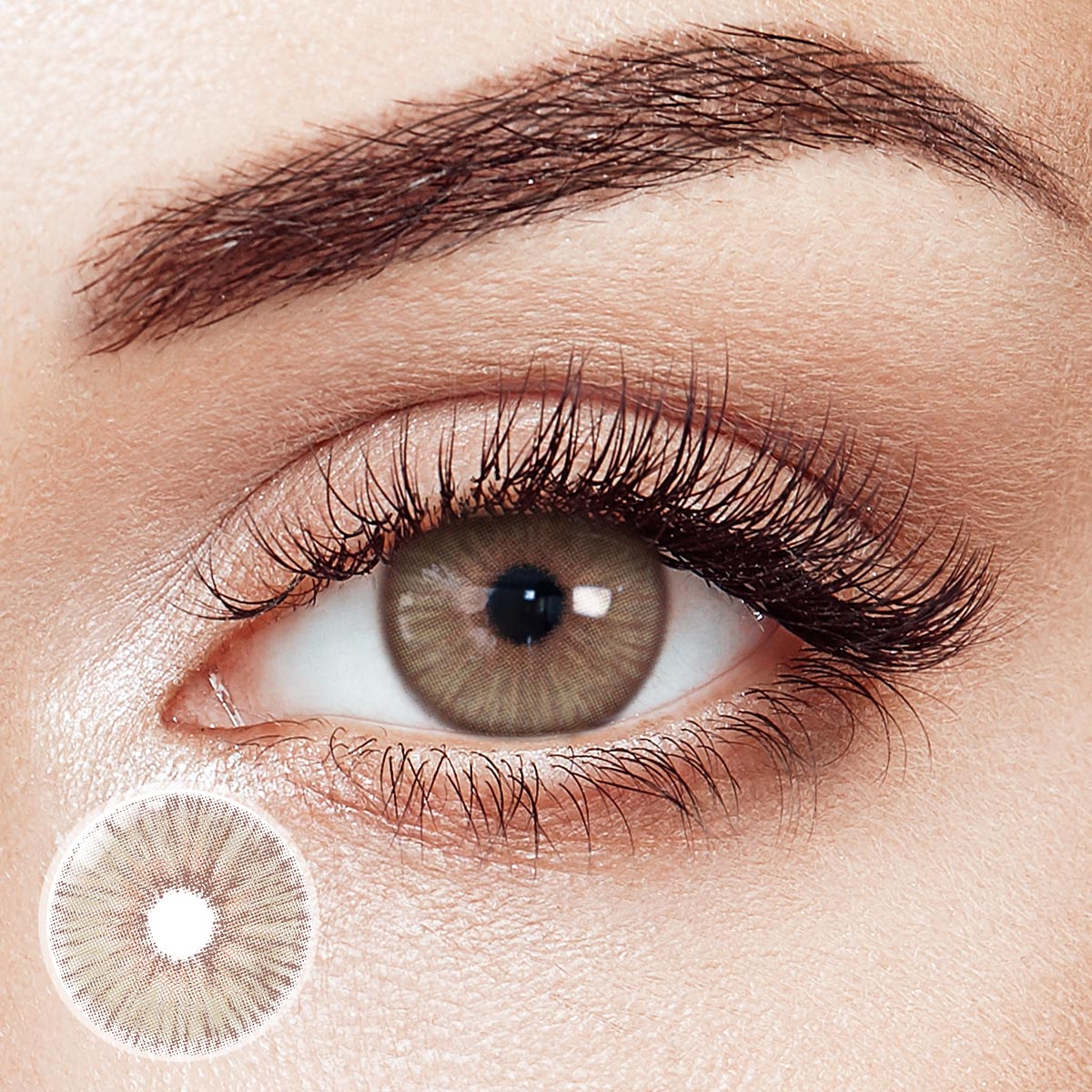 Angeles N Brown Yearly Contact Lenses | 2 Pcs