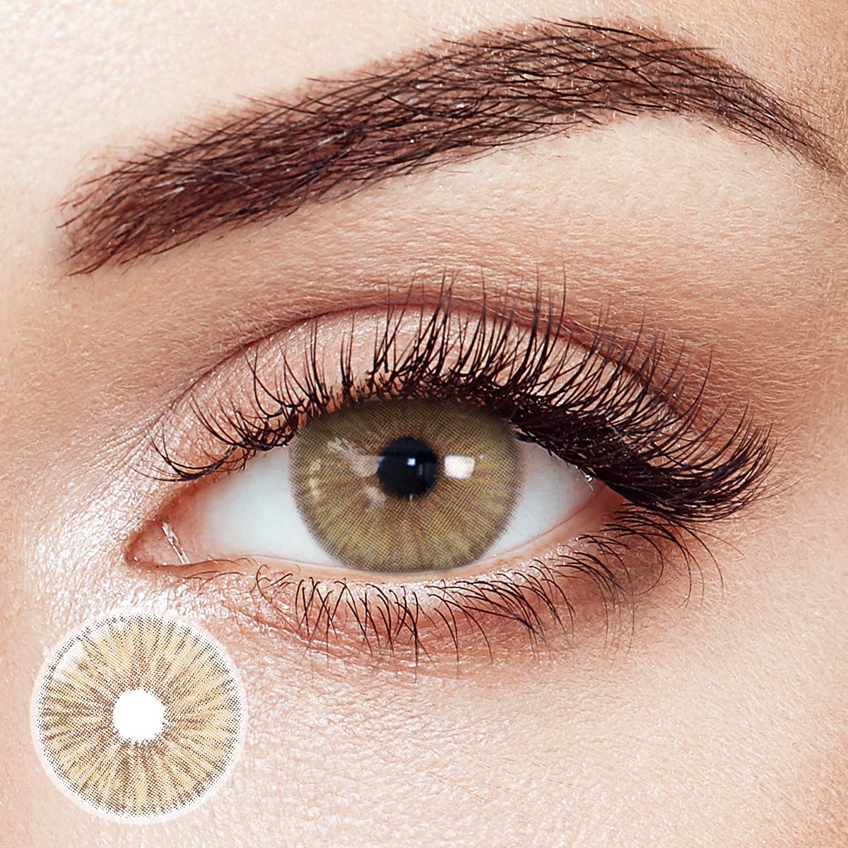 Angeles N Light Brown Yearly Contact Lenses | 2 Pcs