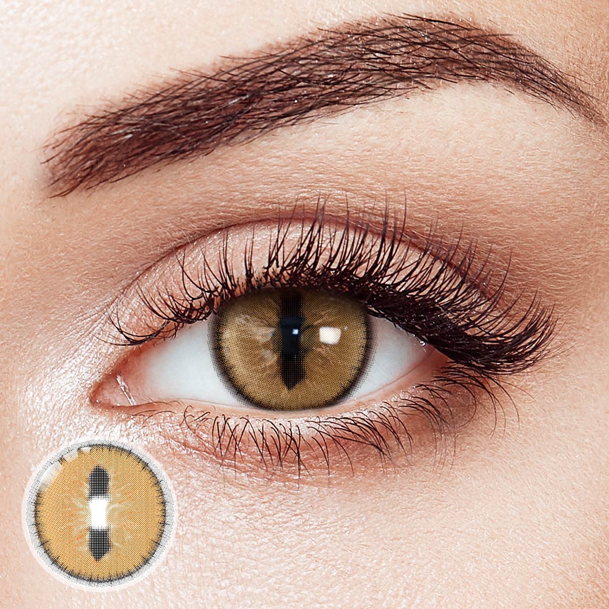 Neko Brown Costume 6 Months Contact Lenses | 2 Pcs