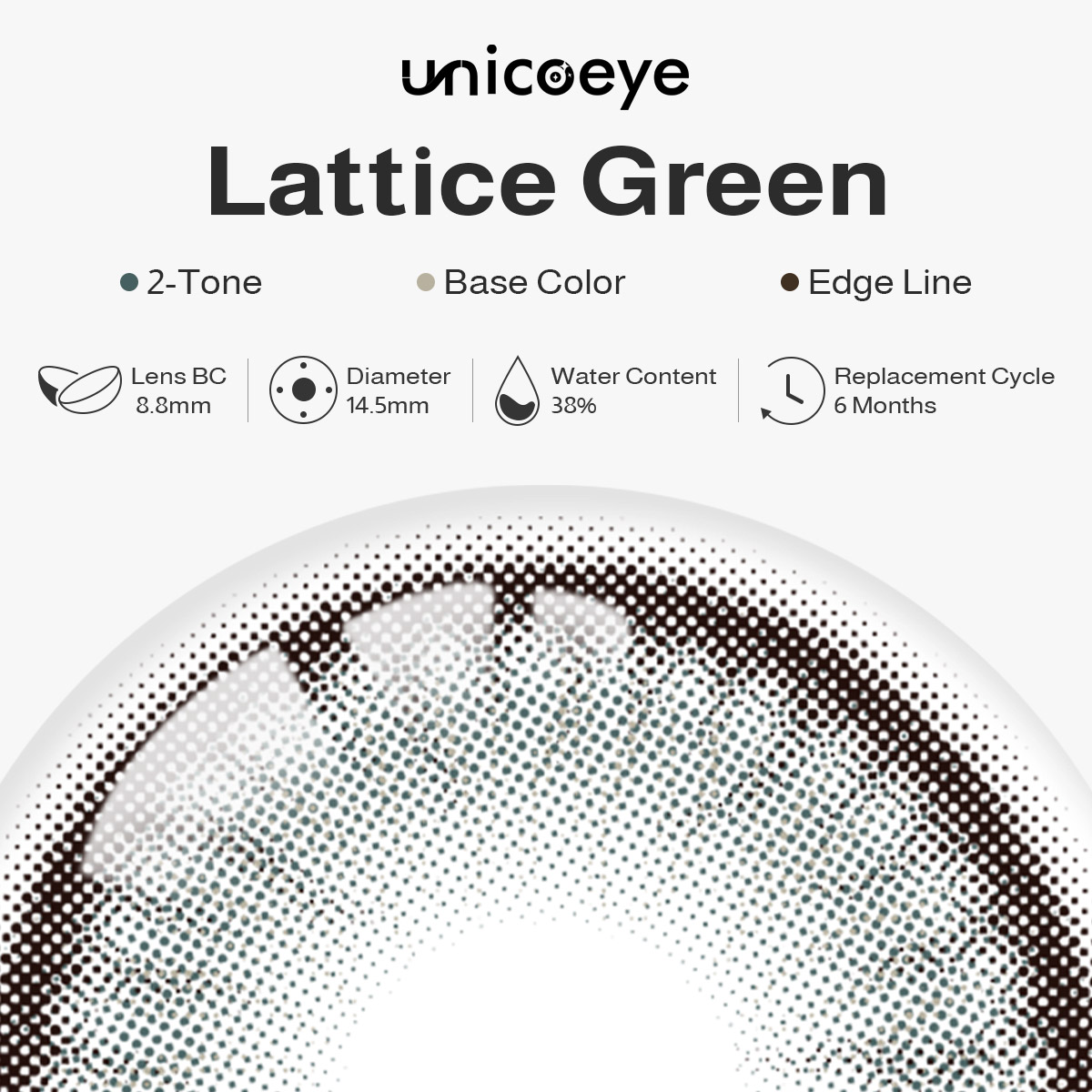 Lattice Green 6 Months Contact Lenses | 2 Pcs
