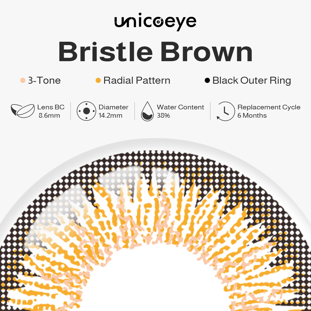 Bristle Brown 6 Months Contact Lenses | 2 Pcs