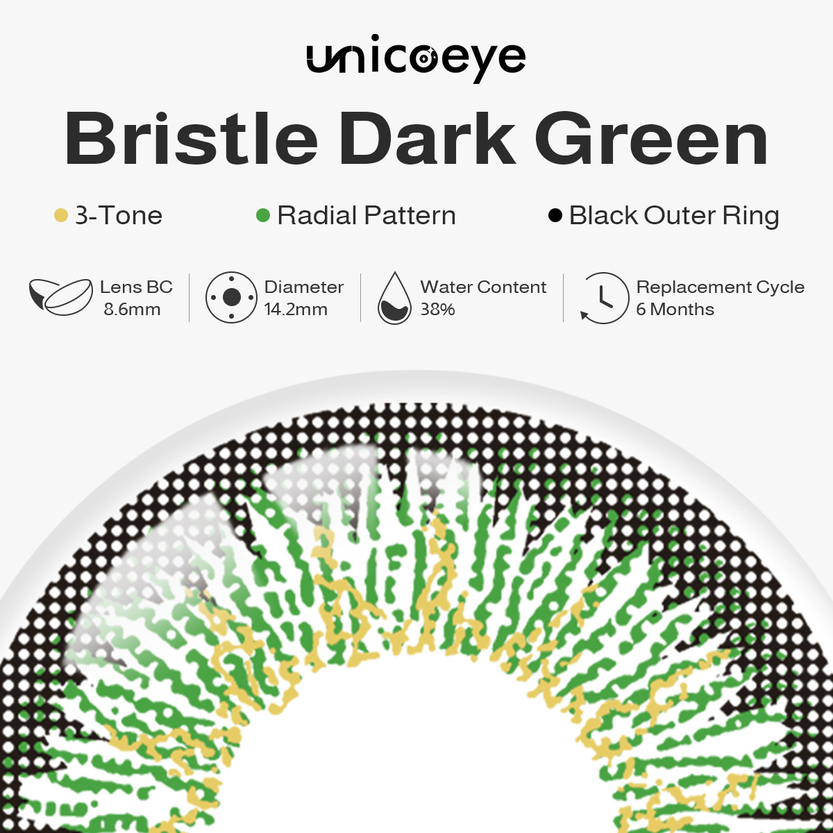 Bristle Dark Green 6 Months Contact Lenses | 2 Pcs