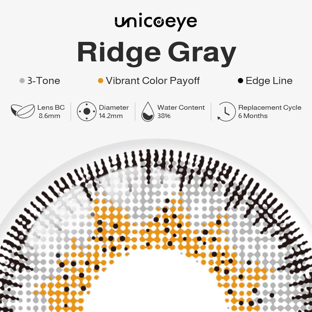 Ridge Gray 6 Months Contact Lenses | 2 Pcs