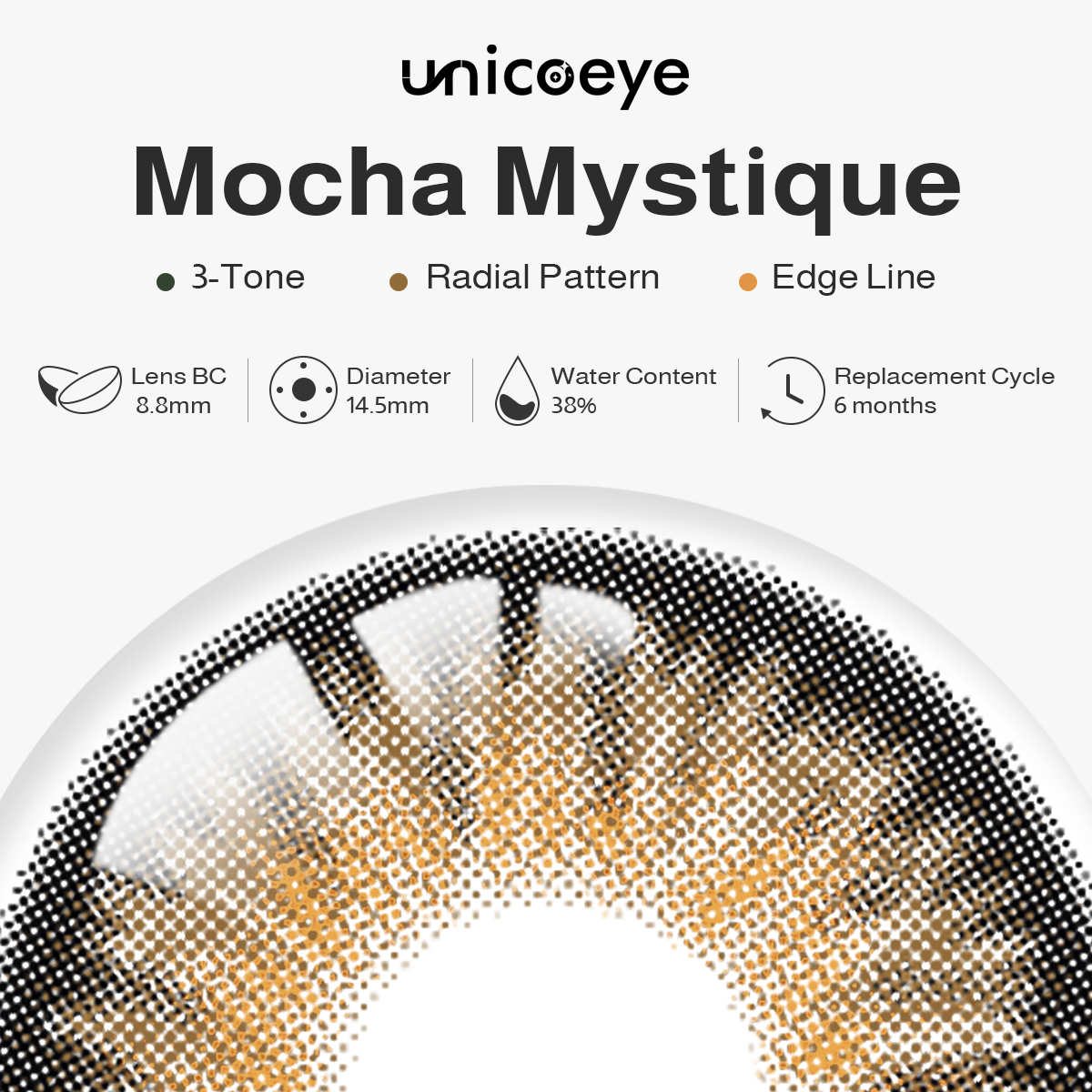 Mocha Mystique Brown 6 Month Contact Lenses | 2 Pcs