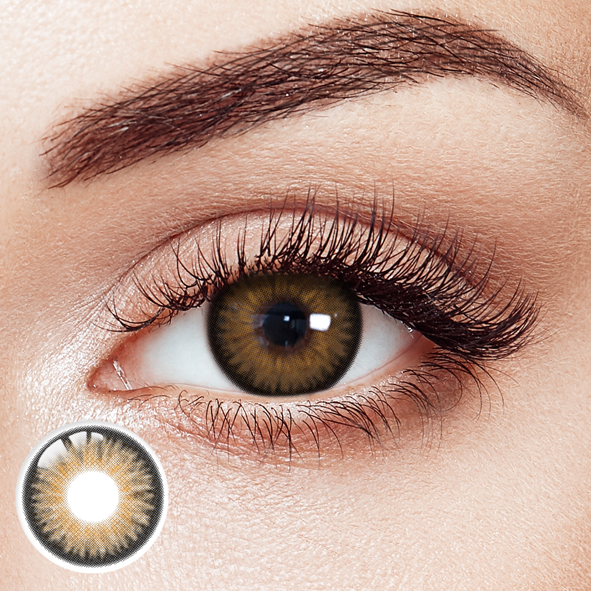 Mocha Mystique Brown 6 Month Contact Lenses | 2 Pcs