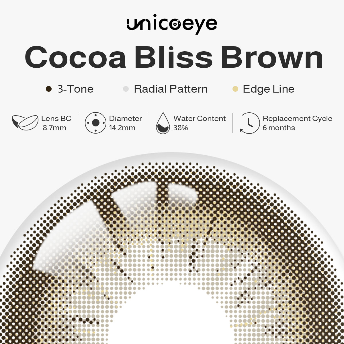 Cocoa Bliss Brown 6 Month Contact Lenses | 2 Pcs