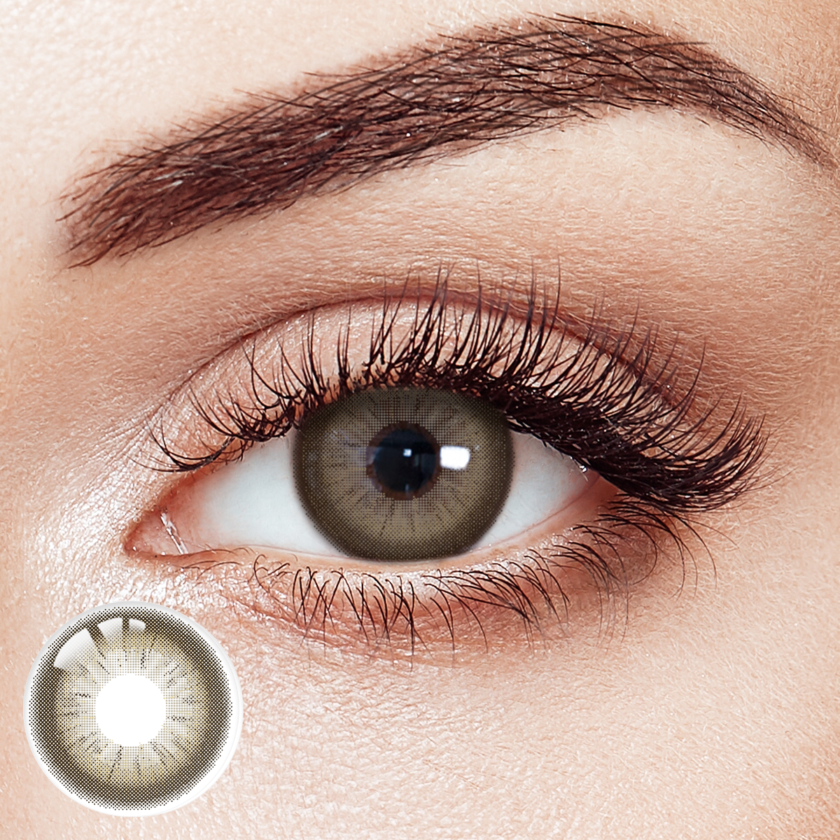 Cocoa Bliss Brown 6 Month Contact Lenses | 2 Pcs