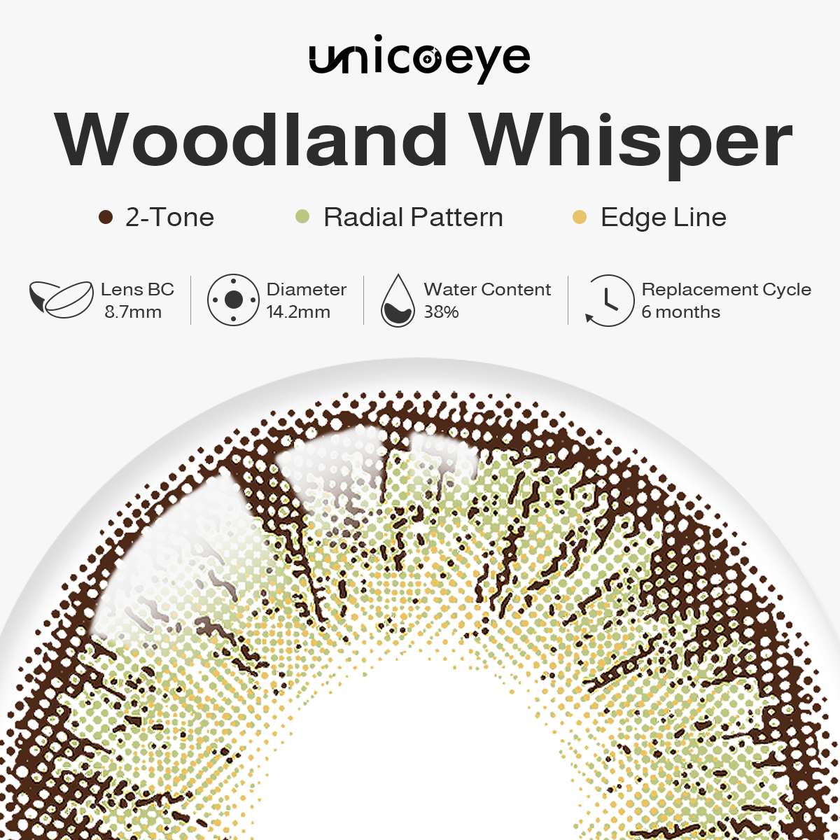 Woodland Whisper Hazel 6 Months Contact Lenses | 2 Pcs