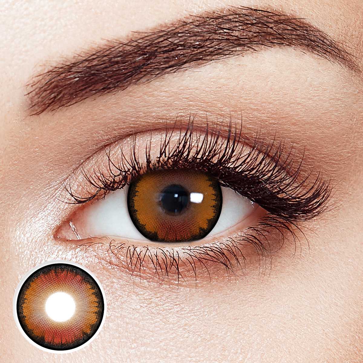 Honey Maple Brown 6 Month Contact Lenses | 2 Pcs