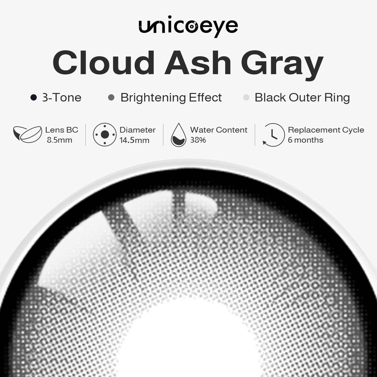 Cloud Ash Gray 6 Months Contact Lenses | 2 Pcs