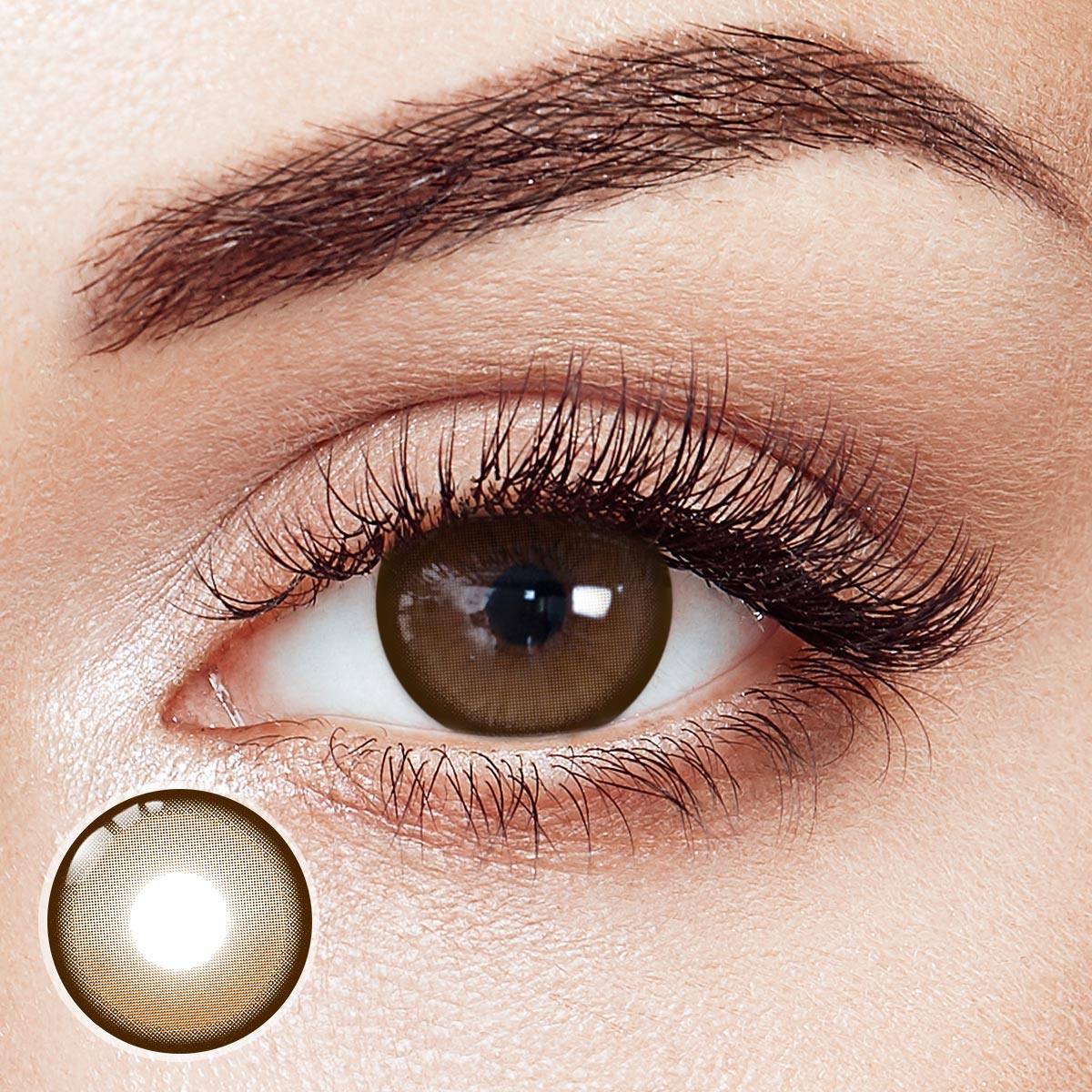 Hoop Brown Prescription Daily Contact Lenses | 2 Pcs