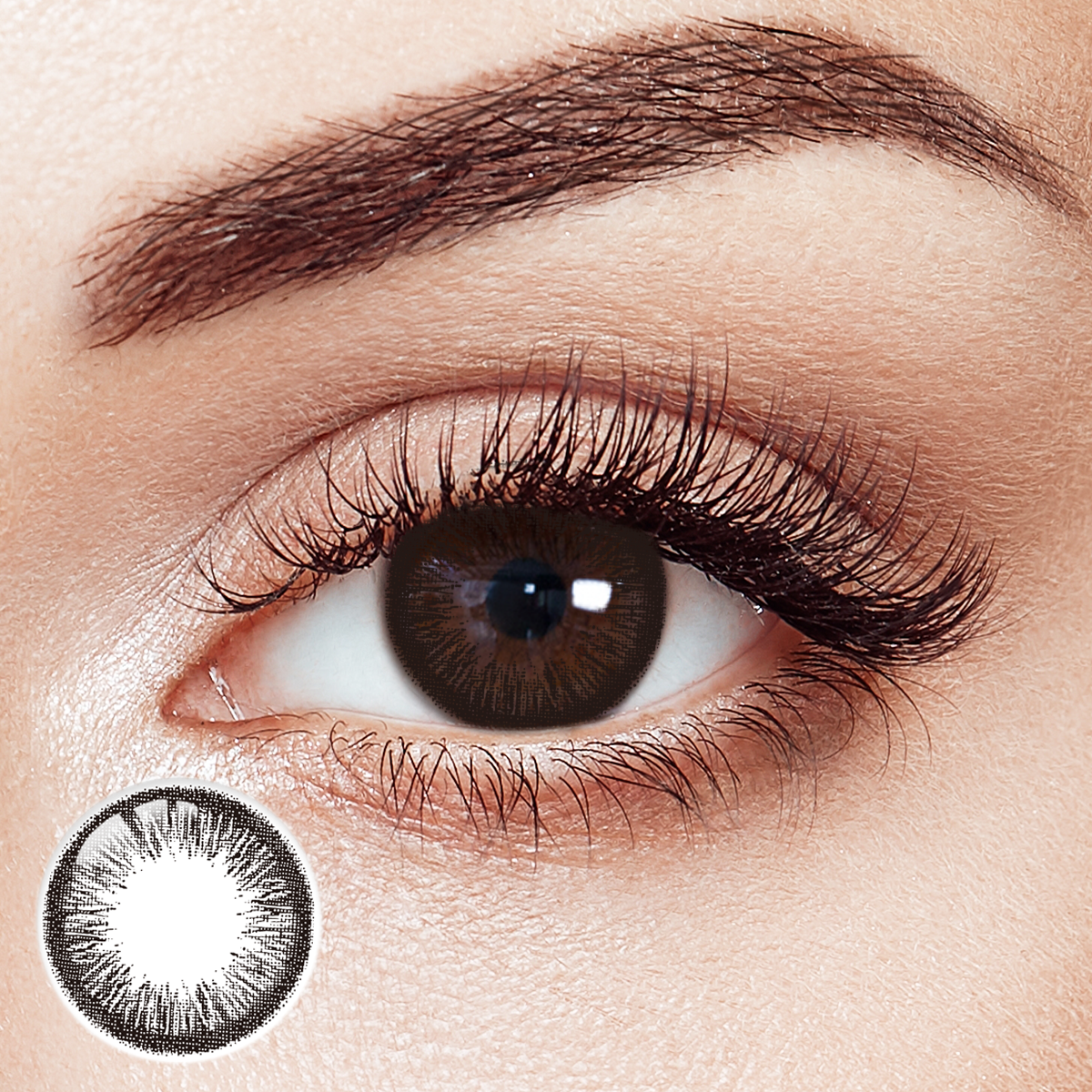 Obsidian Dream Black 6 Months Contact Lenses | 2 Pcs