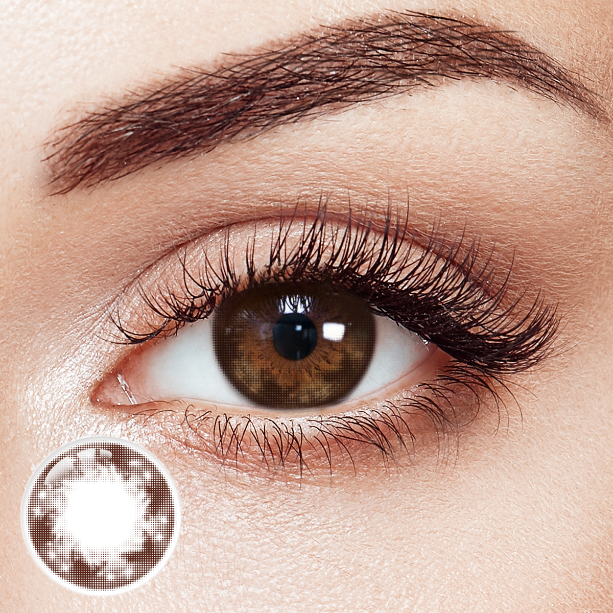 Celestial Chestnut 6 Months Contact Lenses | 2 Pcs