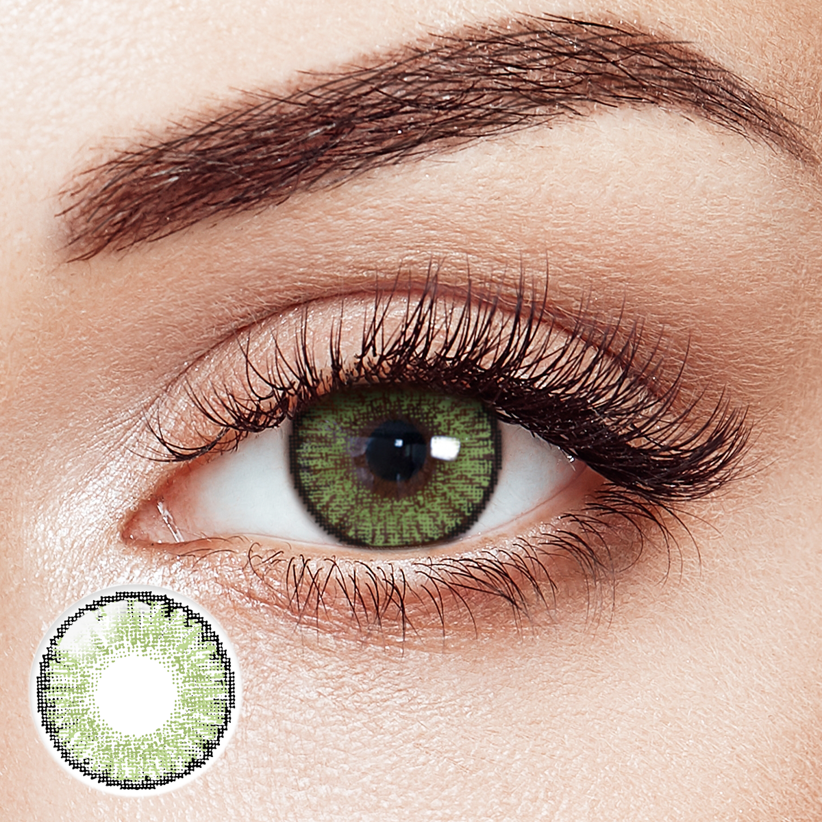 Ancient Grove Green 6 Months Contact Lenses | 2 Pcs