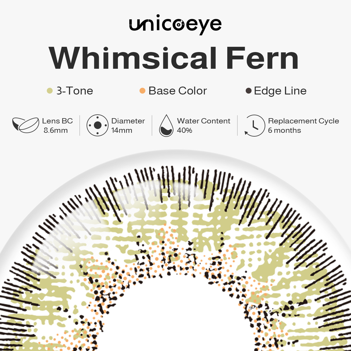 Whimsical Fern Green 6 Months Contact Lenses | 2 Pcs