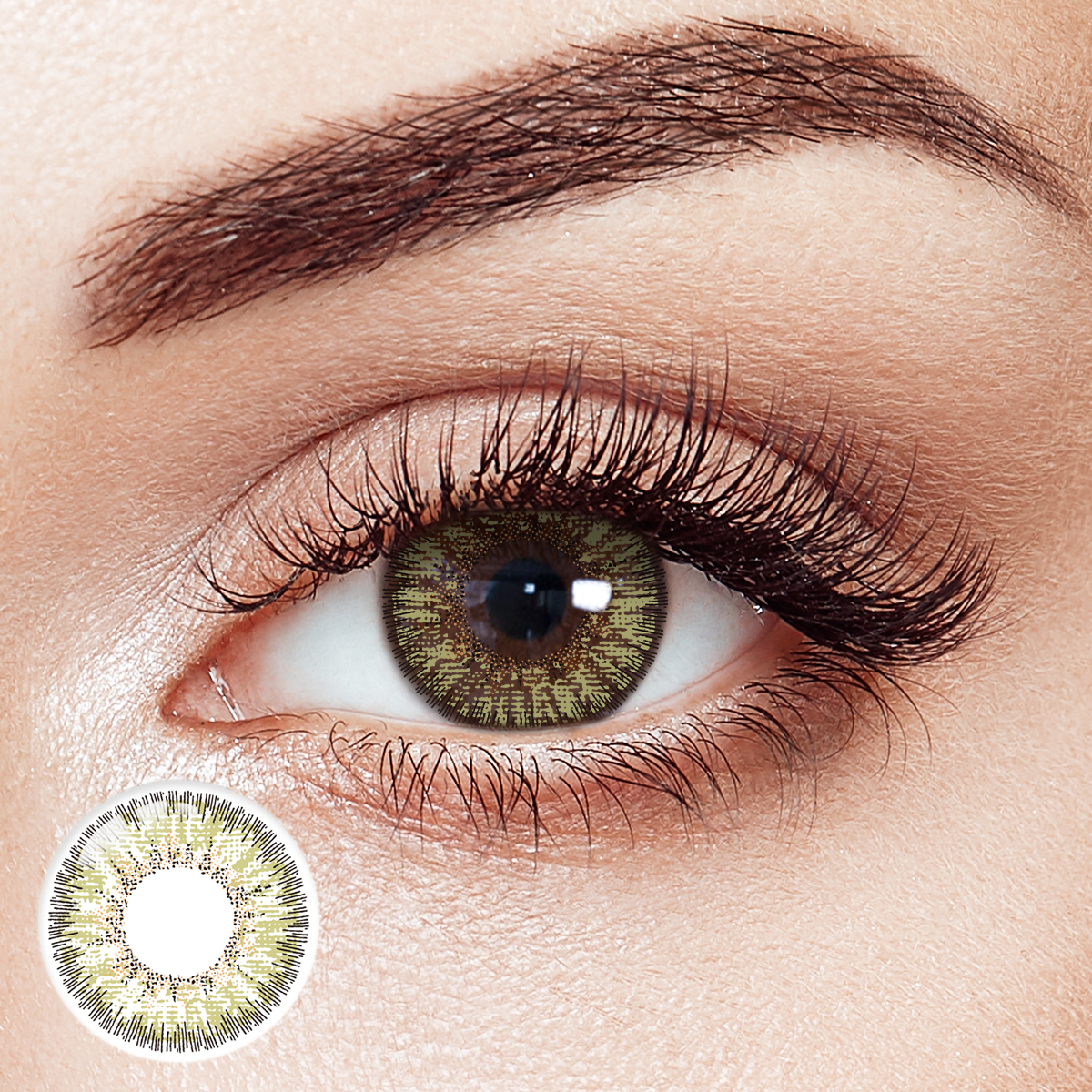 Whimsical Fern Green 6 Months Contact Lenses | 2 Pcs