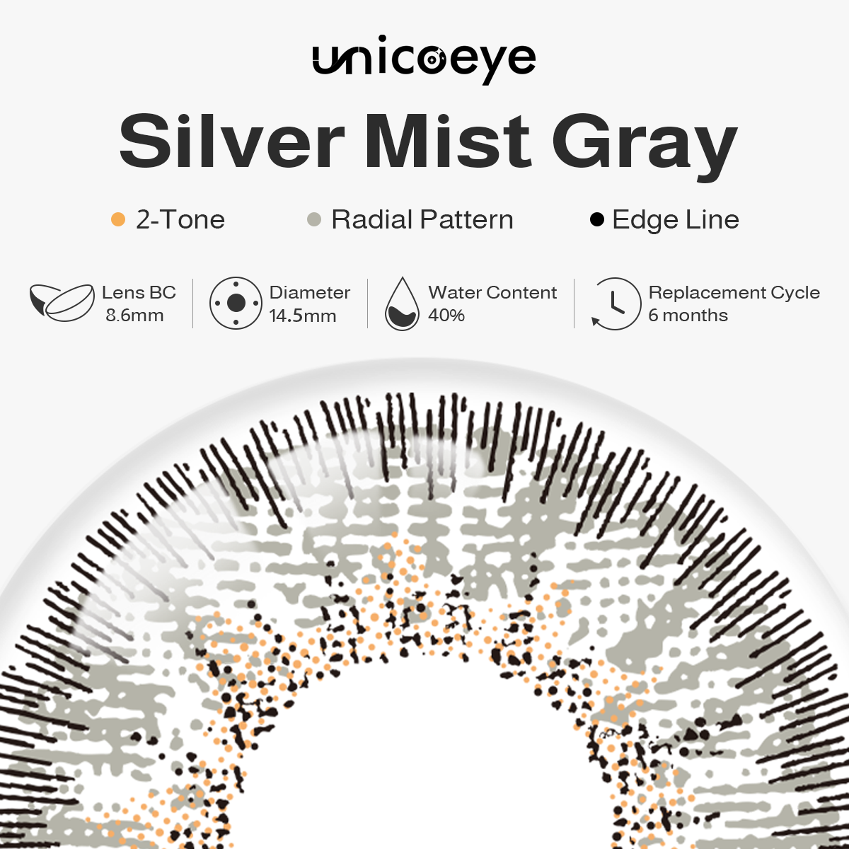 Silver Mist Gray 6 Months Contact Lenses | 2 Pcs