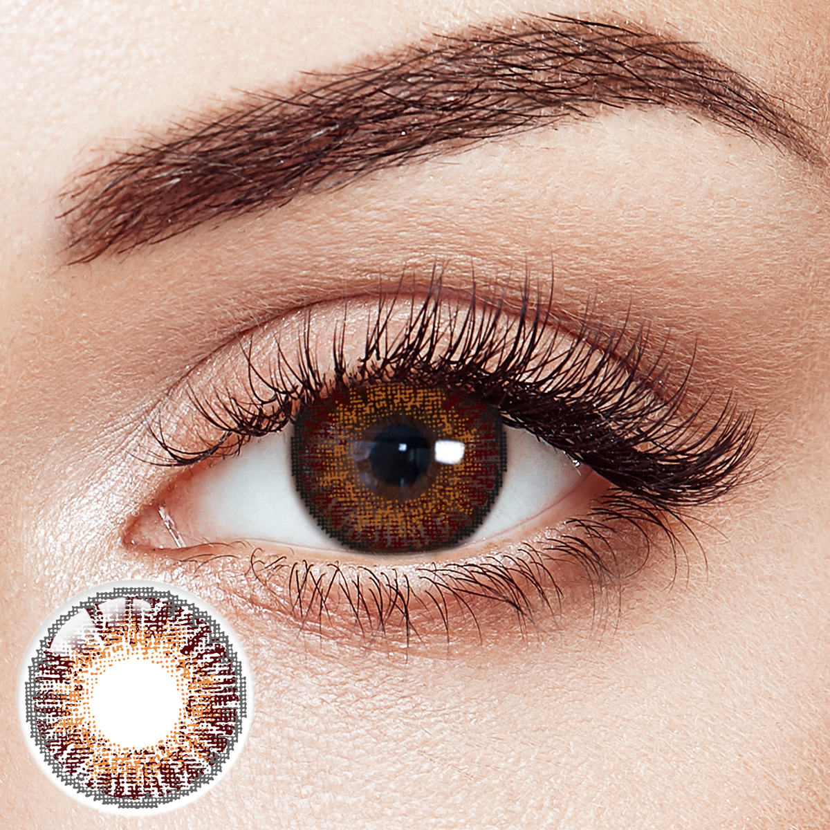 Crimson Ember Brown 6 Months Contact Lenses | 2 Pcs