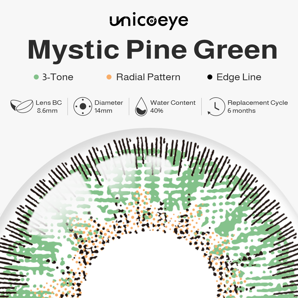 Mystic Pine Green 6 Months Contact Lenses | 2 Pcs