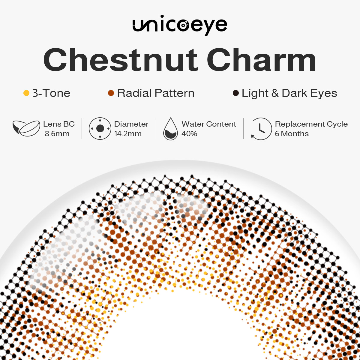 Chestnut Charm Brown 6 Months Contact Lenses | 2 Pcs
