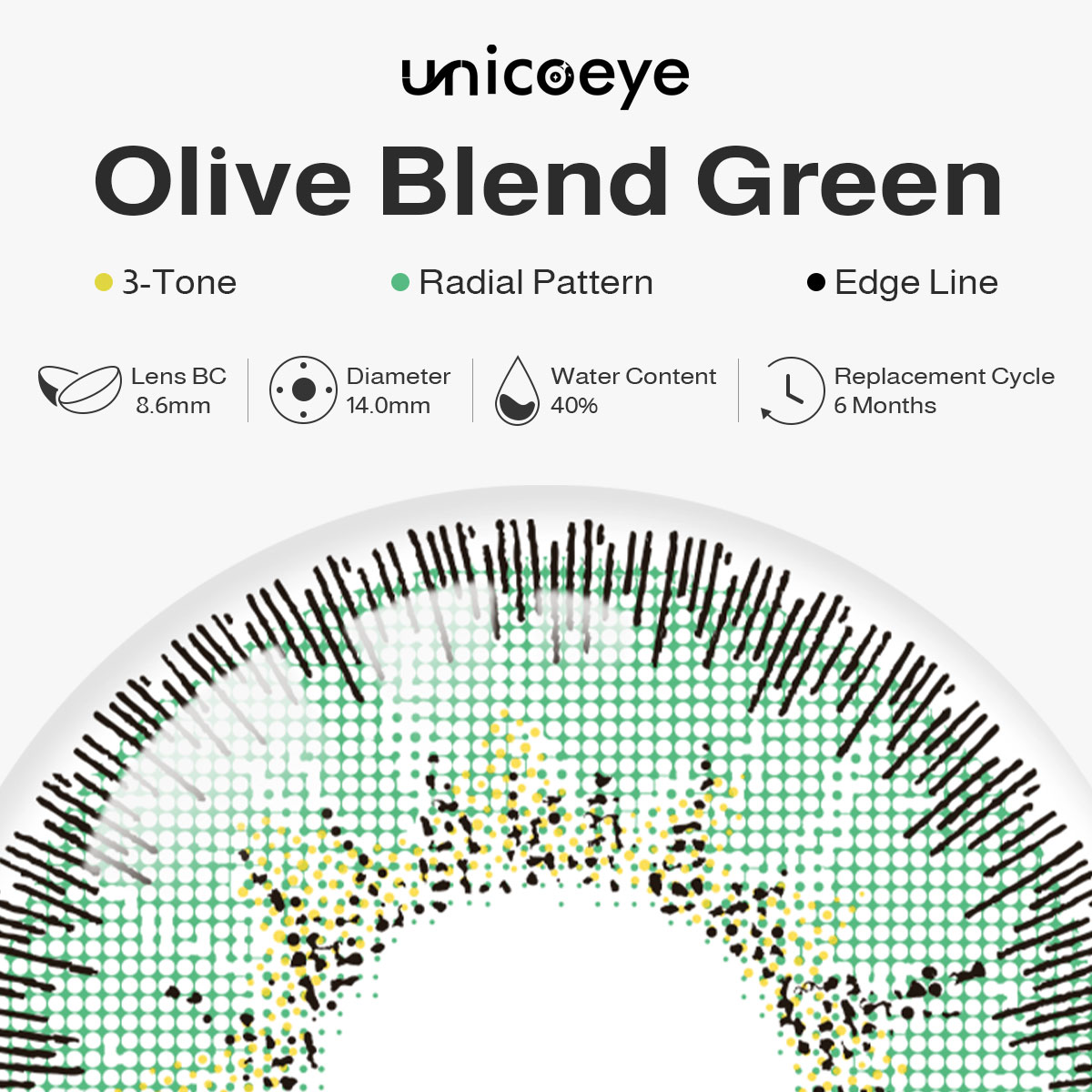 Olive Blend Green 6 Months Contact Lenses | 2 Pcs