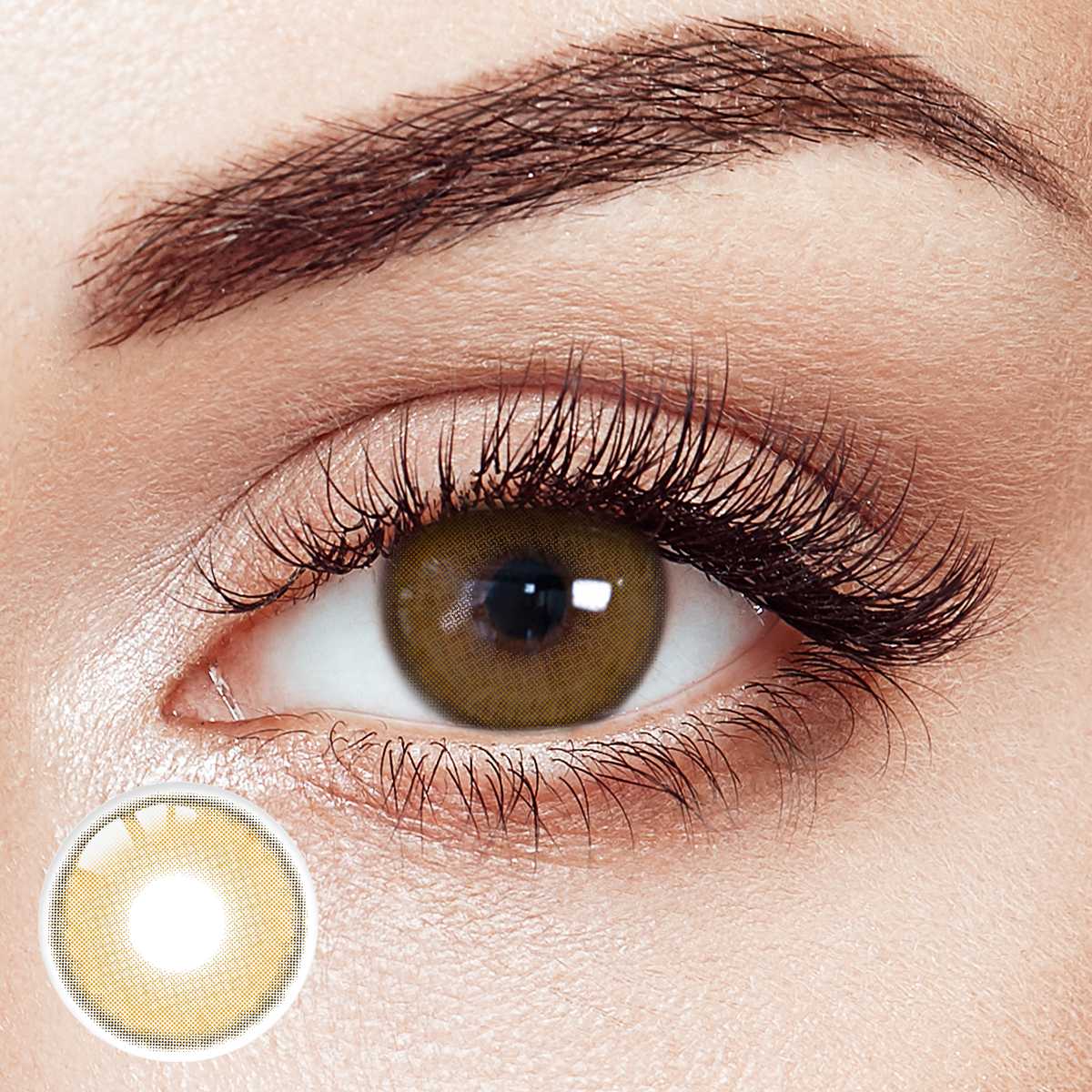 Serene Lagoon Brown 6 Month Contact Lenses | 2 Pcs