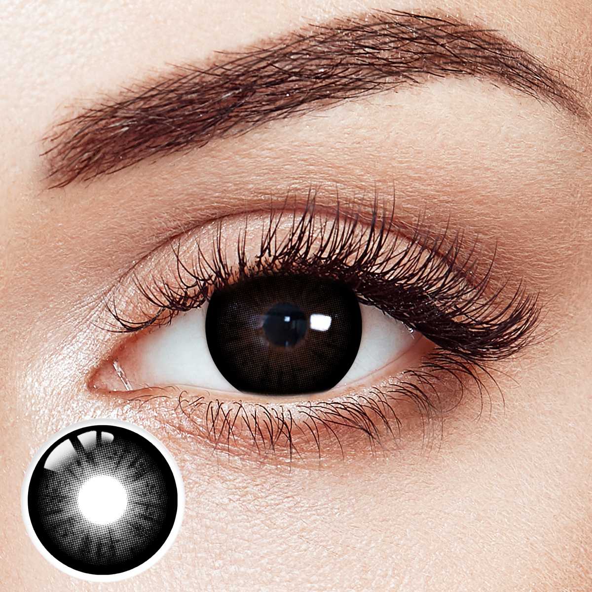 Dark Territory Black 6 Month Contact Lenses | 2 Pcs