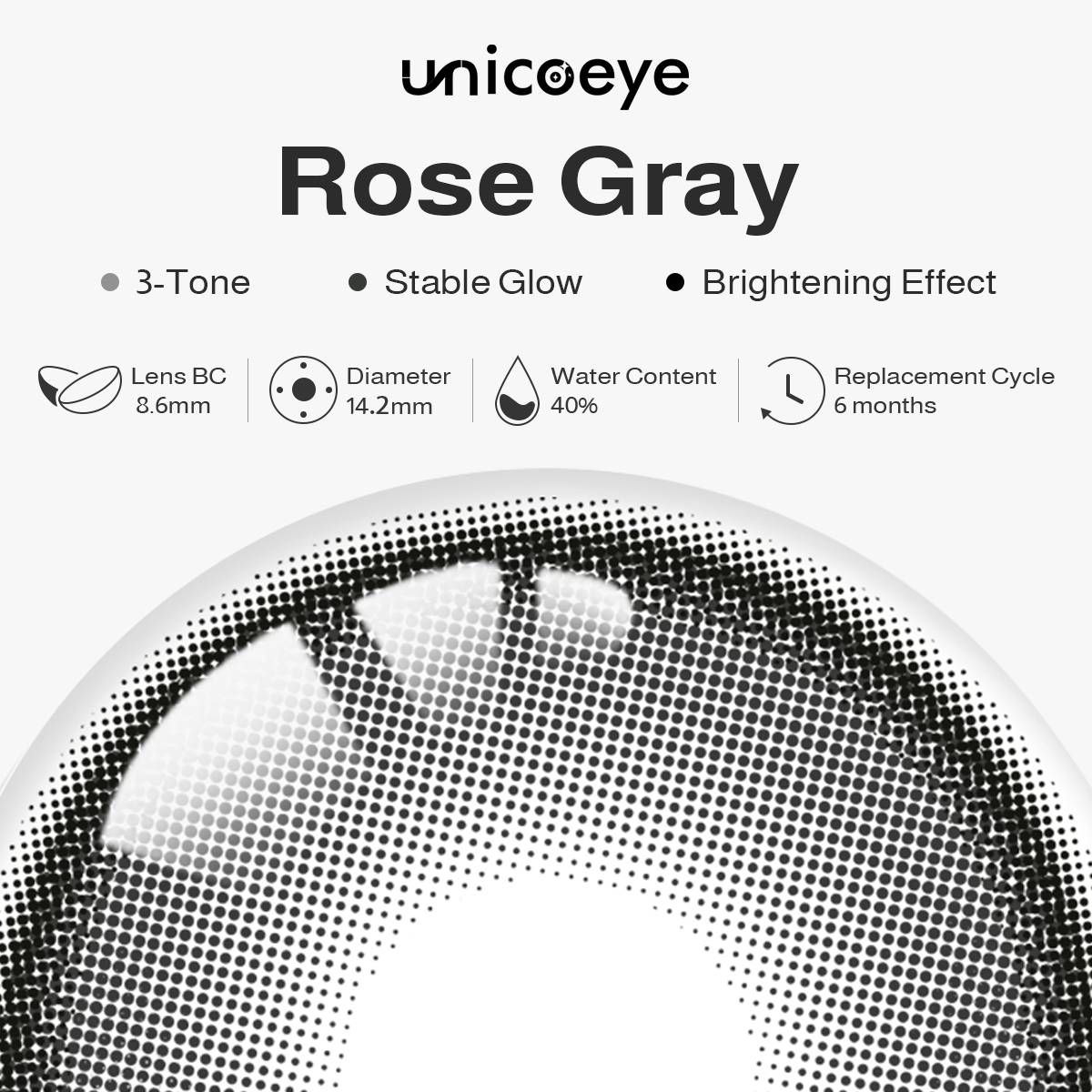 Stable Glow | Rose Gray 6 Months Contact Lenses | 2 Pcs