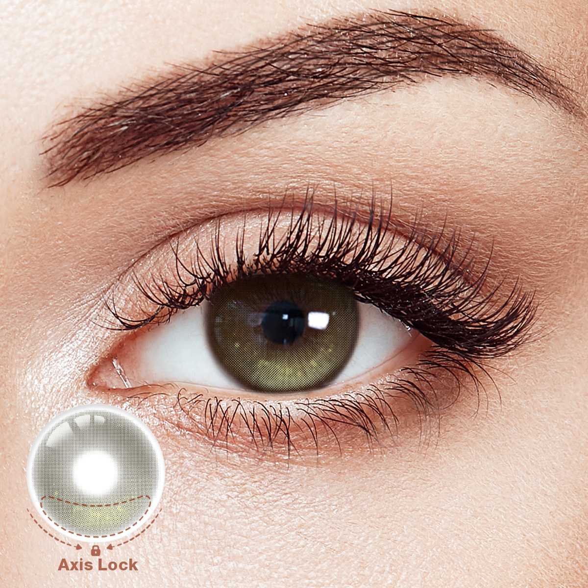 LumiShard Brown Daily Contact Lenses | 5 Pcs