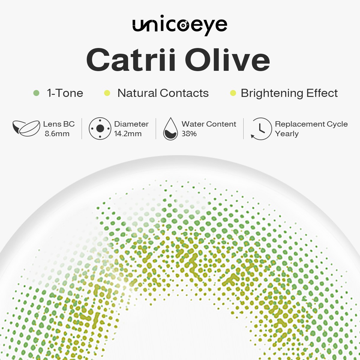 Catrii Olive 6 Months Contact Lenses | 2 Pcs