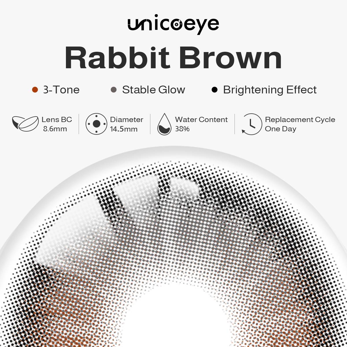 Rabbit Brown Daily Contact Lenses | 10 Pcs