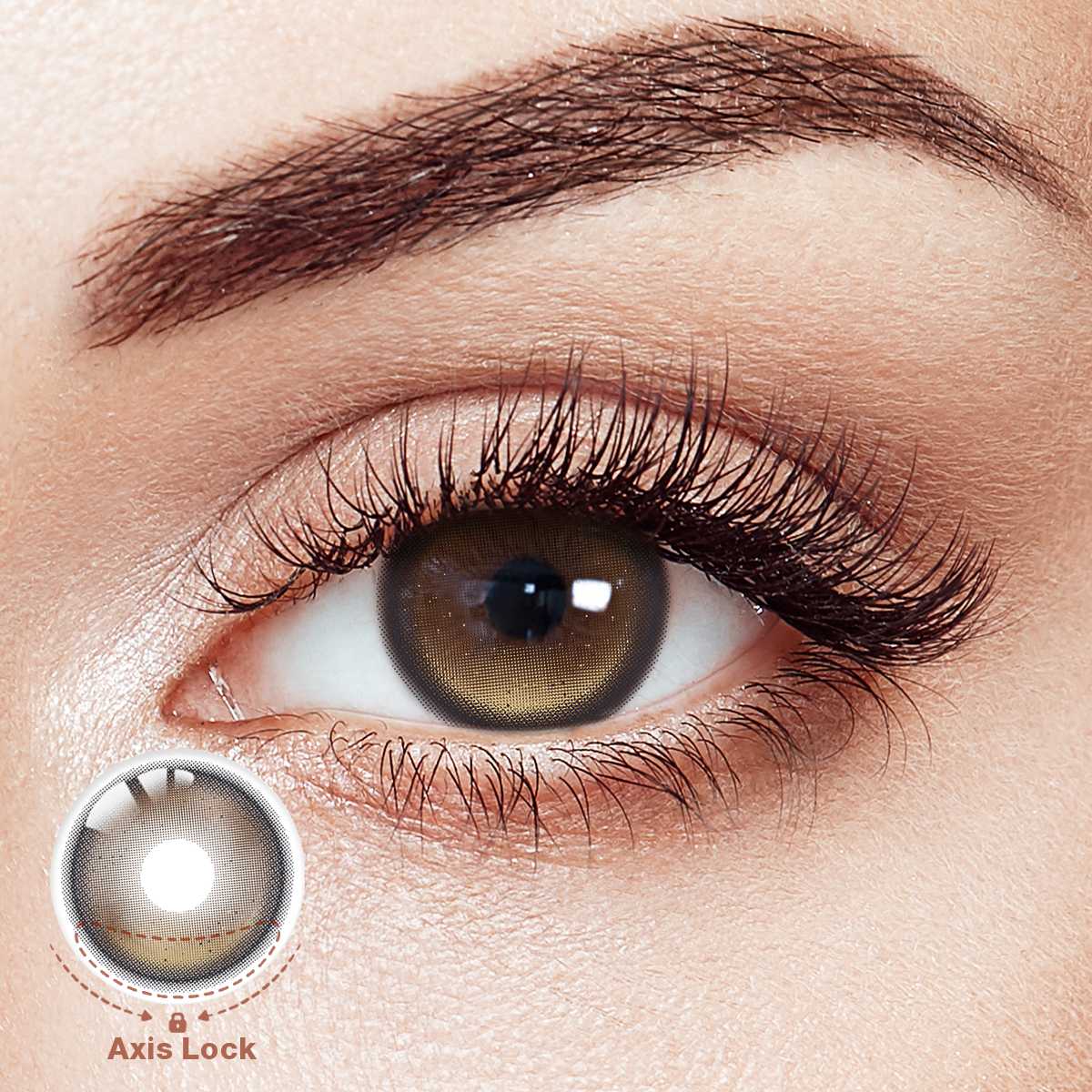 Crush Alert Brown Daily Contact Lenses | 10 Pcs