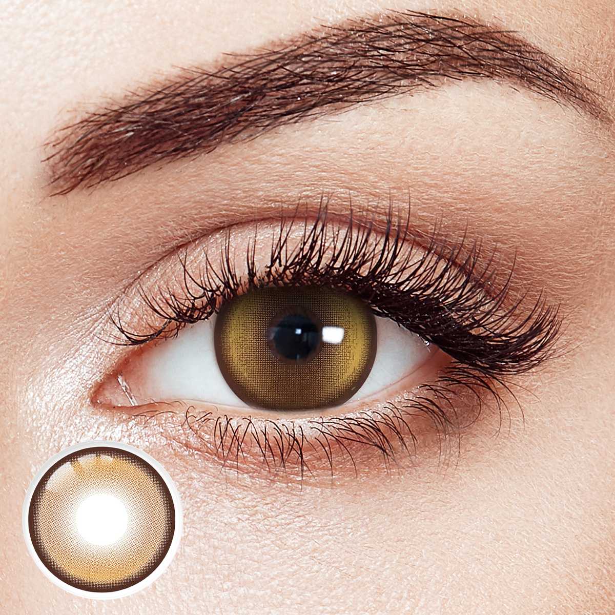 Honey Bear Brown Prescription 6 Month Contact Lenses | 2 Pcs
