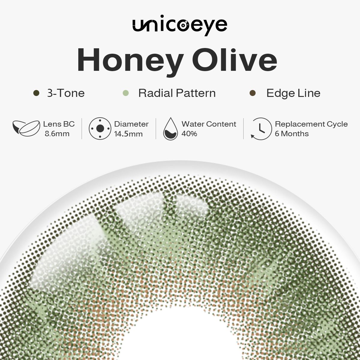 Honey Olive Green 6 Months Contact Lenses | 2 Pcs