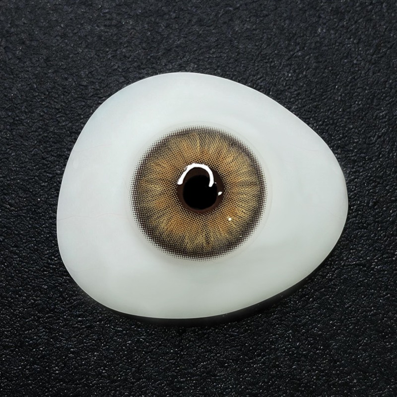 Taupe Eclipse Brown 6 Months Contact Lenses | 2 Pcs